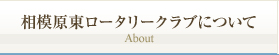 相模原東ロータリークラブについて